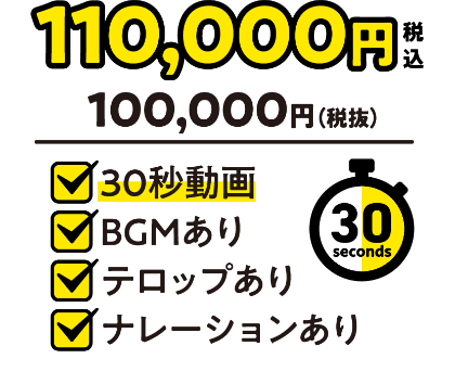 110,000円（税込）：30秒動画／BGMあり／テロップあり／ナレーションあり